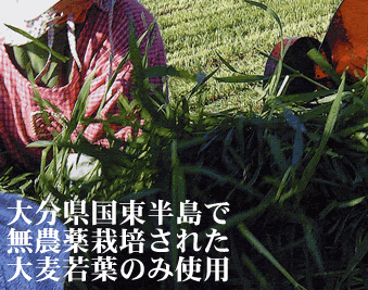 �唞��t