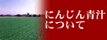 �ɂ񂶂�`